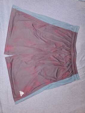 Adidas Men's Maroon Athletic Mesh Shorts
